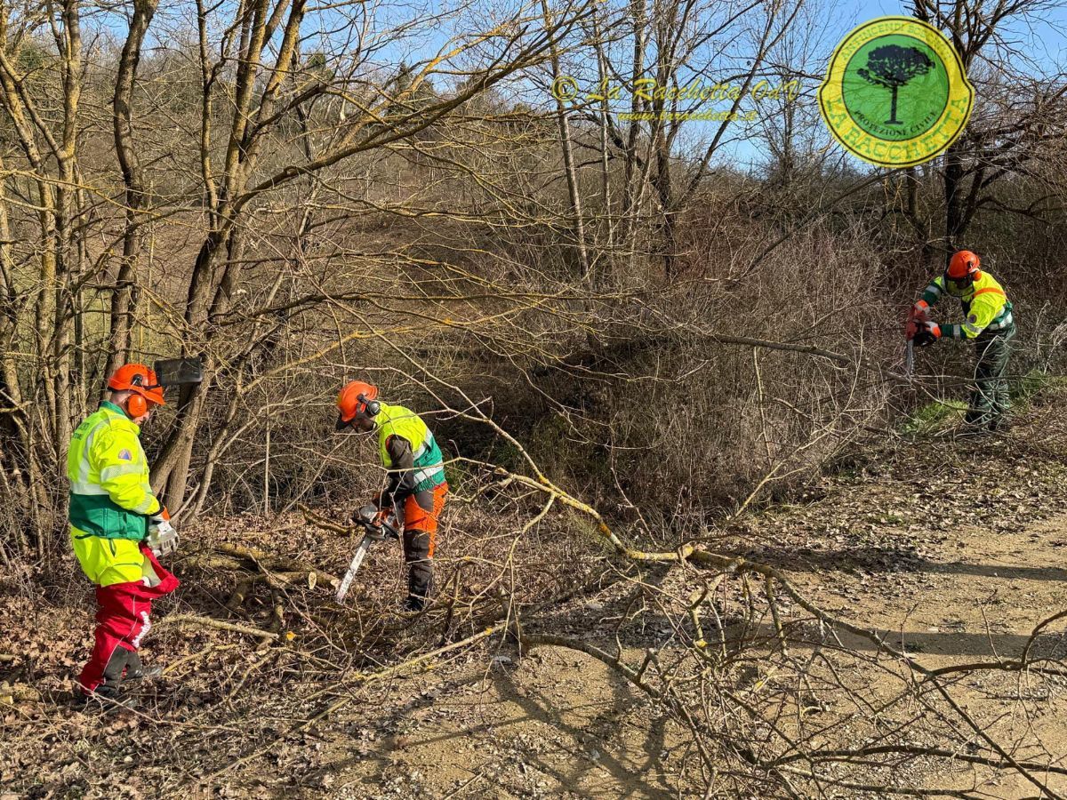 Esercitazione di protezione civile nel Comune di Laterina Pergine Valdarno
