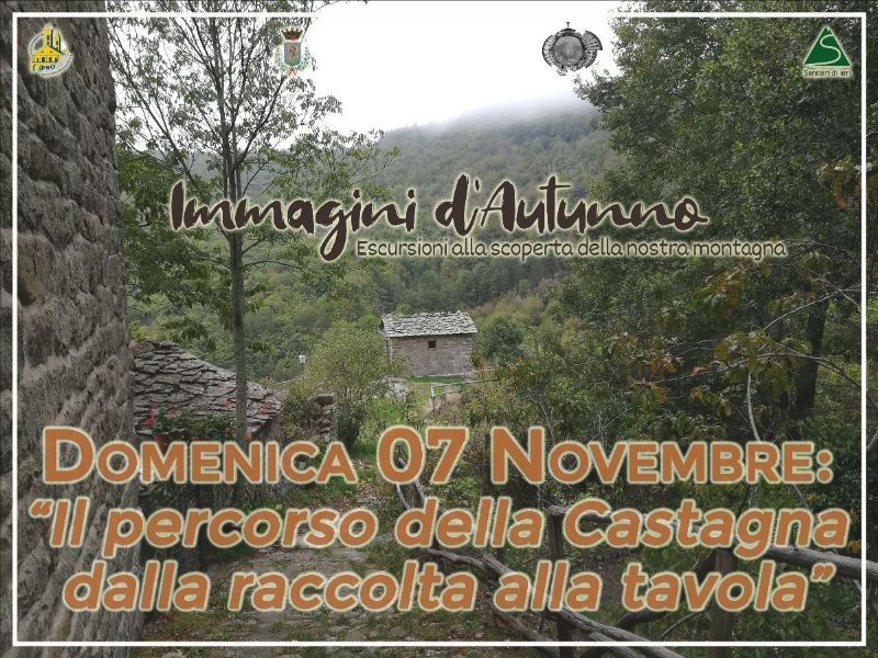 IL PERCORSO DELLA CASTAGNA – DALLA RACCOLTA ALLA TAVOLA