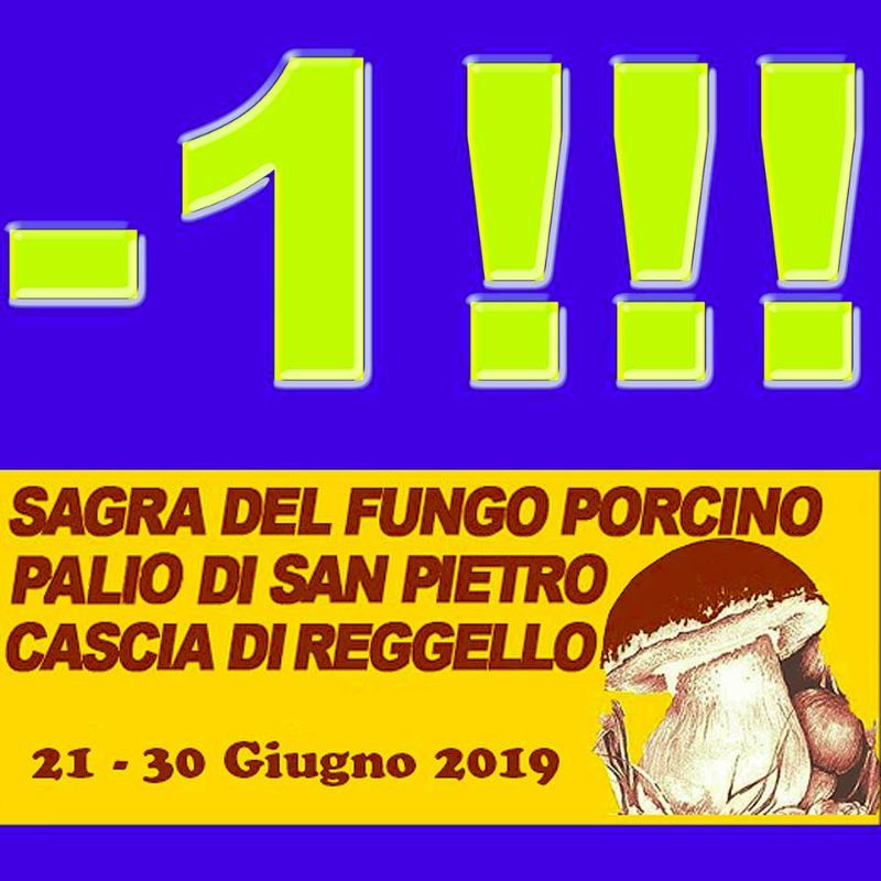 FESTA & PALIO DI SAN PIETRO – 45^ SAGRA DEL FUNGO PORCINO