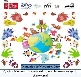 I LABORATORI DI NOVEMBRE DEL MUSEO PALEONTOLOGICO DI MONTEVARCHI