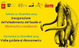 INAUGURAZIONE DELL’ESPOSIZIONE DEL CRANIO FOSSILE DI ELEFANTE MAMMUTHUS MERIDIONALIS