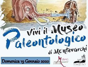 ASSAGGI DI DIDATTICA - PRESENTAZIONE DEL NUOVO VIVI IL MUSEO 2020 