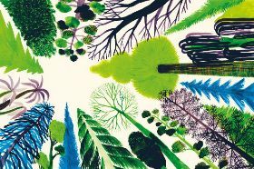 SIAMO FORESTA PASSI, SUONI, VISIONI