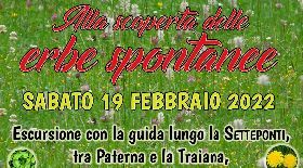 Alla ricerca delle erbe spontanee