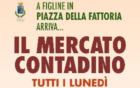 Mercato contadino Figline Valdarno, i prodotti locali in piazza
