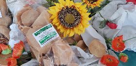 Sagra Del Bastoncello Casareccio