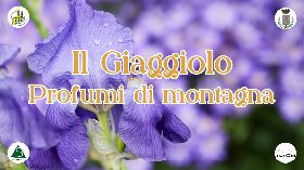 Il Giaggiolo Profumi di Montagna