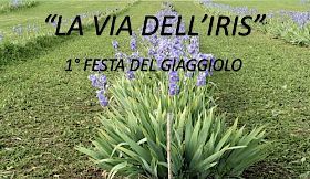 La Via dell'Iris