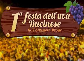 1° FESTA DELL'UVA BUCINESE