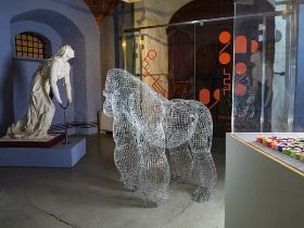 Le "suggestioni fotografiche" di Lorenzo Tani 