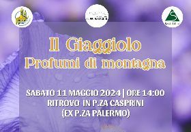 Il Giaggiolo - Profumi di montagna- 2024
