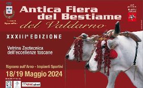 L’Antica Fiera del Bestiame del Valdarno 2024