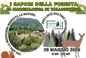 Sapori della Foresta 2^ Mangialonga  di Vallombrosa 