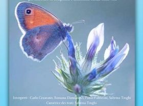 COME UN BATTITO D'ALI