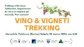 VINO & VIGNETI TREKKING