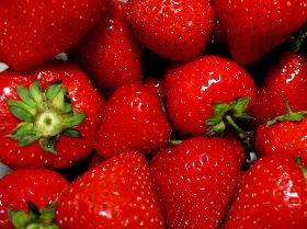 39° Sagra delle fragole con panna del Matassino