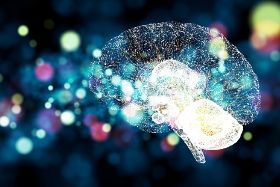 IL LINGUAGGIO PROTAGONISTA - APPUNTAMENTO SU NEUROSCIENZE E FILOSOFIA 