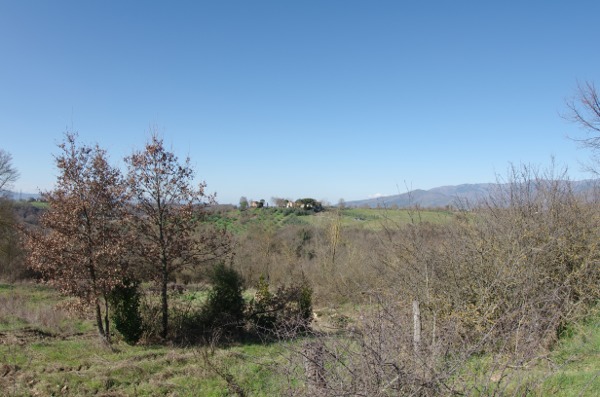 ECO-CAMMINATA CON MANGIALONGA