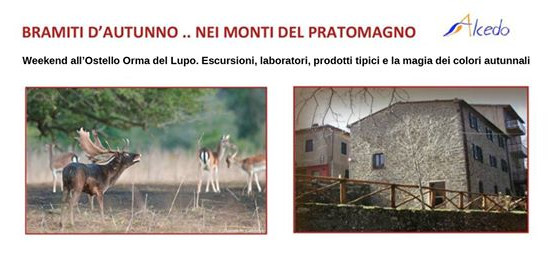 ESCURSIONE GUIDATA “BRAMITI D’AUTUNNO” NEI MONTI DEL PRATOMAGNO