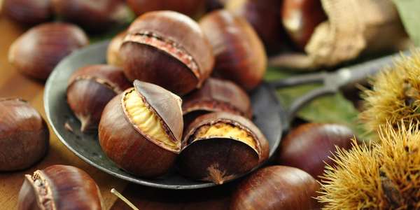 FESTA DELLE CASTAGNE A PALAZZOLO