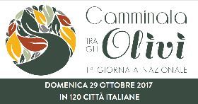 CAMMINATA TRA GLI OLIVI A REGGELLO