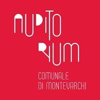 Jane Austen: una scrittrice al cinema