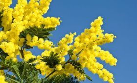 Giornata Internazionale della Donna 2018 in Valdarno