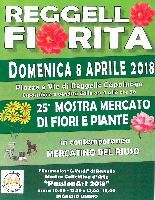 Torna l'appuntamento con "Reggello Fiorita" e il "Mercatino del riuso"