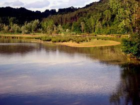 Quarta immersione del Festival Sguardi sul Reale