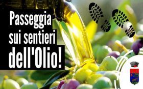 PASSEGGIATA SUI SENTIERI DELL’OLIO