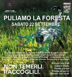 NATURALMENTE REGGELLO: PULIAMO LA FORESTA - NOTTURNA NEL BOSCO - PONTE A ENNA ZERO-TRE