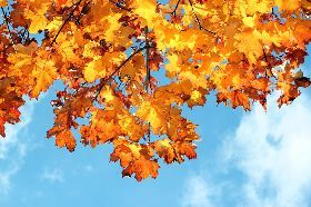 COLORI D'AUTUNNO ALLA CASTAGNATA TRAPPOLINA