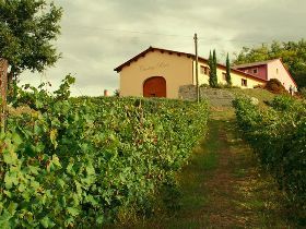 L’ABC DEL VINO E DELL’OLIO