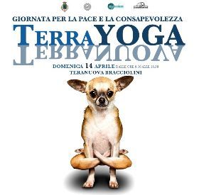 TERRAYOGA