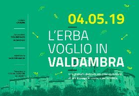 L’ERBA VOGLIO IN VALDAMBRA