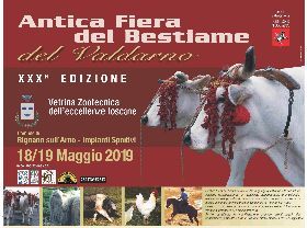 ANTICA FIERA DEL BESTIAME DEL VALDARNO