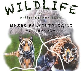 GLI EVENTI DI GIUGNO DELL’ACCADEMIA VALDARNESE DEL POGGIO