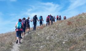 BIO-PASSEGGIATA CON DEGUSTAZIONI E PRANZO VEGETARIANO