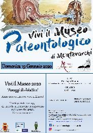 ASSAGGI DI DIDATTICA - PRESENTAZIONE DEL NUOVO VIVI IL MUSEO 2020 
