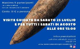 Visite guidate al Museo Paleontologico Estate 2020 “Scopri le origini del Valdarno”