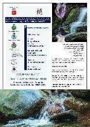 Festa di San Jacopo 2022