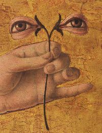 PUPILLE Ci fioriscono gli occhi se ci guardiamo