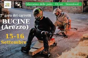 1° FESTA DELL'UVA BUCINESE