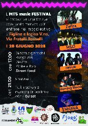 Mts Music Festival 2025