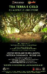 “LE STORIE DEGLI ALBERI: UN READING SOTTO UN LECCIO SECOLARE”