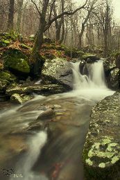 RIVER TREK - TRA IL TORRENTE AGNA E L’ANTICA CASSIA VETUS 