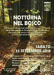 NATURALMENTE REGGELLO: PULIAMO LA FORESTA - NOTTURNA NEL BOSCO - PONTE A ENNA ZERO-TRE