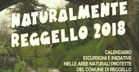 UNA NOTTE AL MUSEO & FOTOGRAFANDO LE BALZE