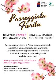 REGGELLO FIORITA 2019