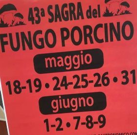 43^ SAGRA DEL FUNGO PORCINO A PALAZZOLO